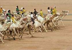 kidnapped for camel racing the curious case of ncrb data