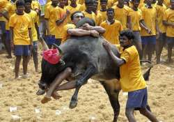 tamil nadu assures steps for conducting jallikattu