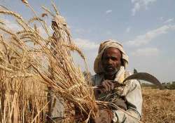 government to sell on priority 27 million tonnes of wheat procured this year