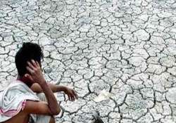 135 farmer suicide cases in 58 days from aurangabad division in maharashtra