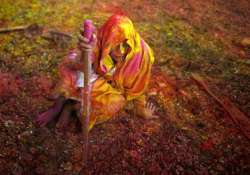 special three day holi celebrations for vrindavan widows