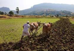 farmers suicide toll in odisha touches 50 government rules out crop failure as main cause