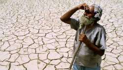 six farmers commit suicide in vidarbha