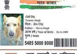 now a dog gets aadhar card