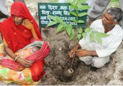 piplantri a village in rajsathan that plants 111 trees on birth of every girl child