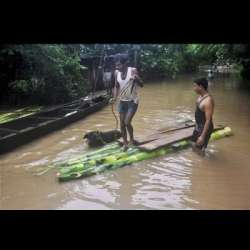 67 dead over 42 lakh hit by floods in assam in 2014 govt