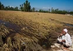 crops worth rs.3 675 crore damaged in kashmir floods