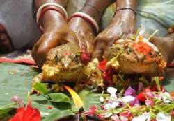 indian villagers hold frog wedding to bring rain