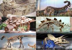 interesting facts to know about dinosaurs