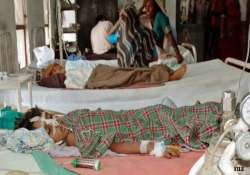 japanese encephalitis claims 43 lives in assam