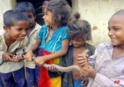 know about the indian tribe where kids are taught to become snake charmers