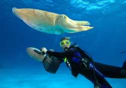 know more about scuba diving