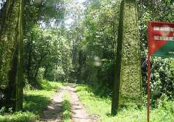 man walks 40km through forest with pregnant wife on shoulder in kerala