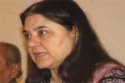 maneka gandhi saves over 100 birds a dozen rabbits