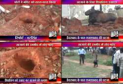 miscreants dug up shiva temple in hyderabad expecting treasure