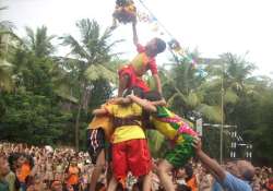 bombay hc bars minor govindas from taking part in dahi handi celebrations