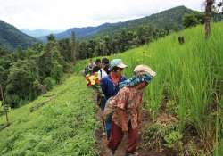 new farming scheme boosts mizoram s growth