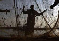 nine tn fishermen abducted by lankan navy personnel