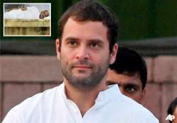 of course i m concerned says rahul gandhi