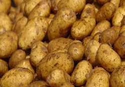 potato crisis continues 80 trucks cross into odisha