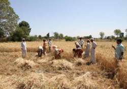 rajasthan mandis to serve meals to farmers for just rs 5