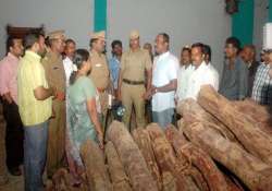 red sanders wood worth rs 10 crore seized at mumbai port