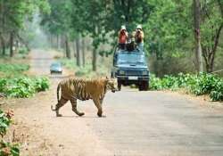 sc extends ban on tourism in core areas of tiger reserves