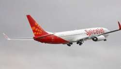 spice jet plane makes emergency landing after fire alarm