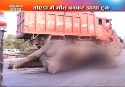 truck crushes elephant to death in noida