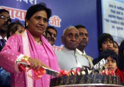 bsp activists celebrate mayawati s birthday