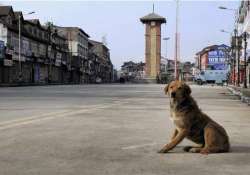 curfew relaxed for four hours in strife hit saharanpur