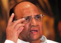 maharashtra polls sharad pawar praises uddhav thackeray says he is steering sena well