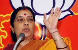 cong diverting attention from cwg 2g spectrum scams bjp