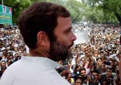 congress workers to cut 45 kg cake on rahul gandhi birthday tomorrow