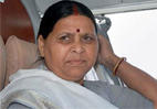 rabri devi owns 65 cows calves