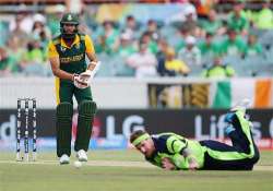 world cup 2015 hashim amla helps south africa to big total in 201 run win v irish