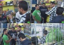 yusuf pathan buys 2 parrots in bangalore