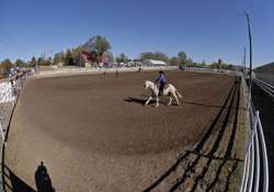 india bag gold in equestrian championship