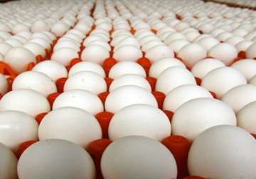 95 hike in egg prices in 2012 13 pawar