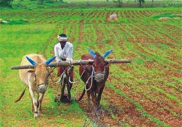 agriculture forum congress 2013 to begin from tomorrow