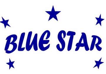 blue star profit up 36 pc at rs 31.01 cr in june quarter