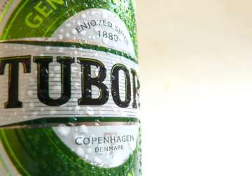 carlsberg india launches fruit flavoured strong beer