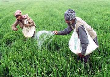 centre cuts subsidy on fertilisers