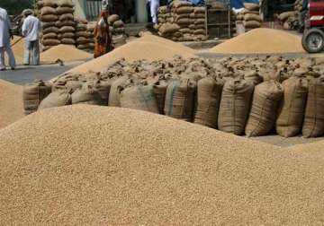 govt cuts wheat mep to usd260 a tonne