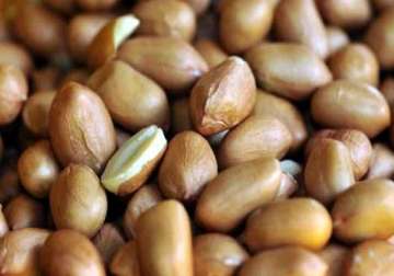 groundnut oil firms up on sustained demand