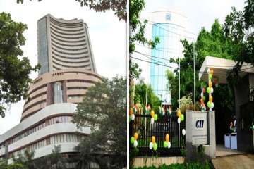 india inc says rbi restrictions on foreign investments responsible for sensex rupee slump