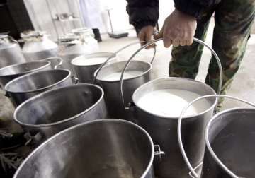 india logs record milk production in 2012 13