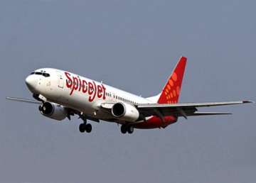 aai extends credit facility to spicejet till december