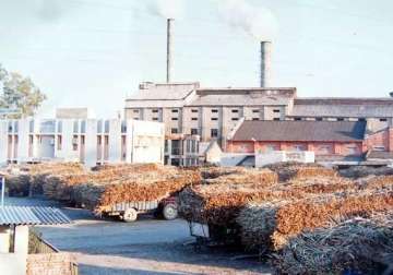 private sugarmills in punjab demand no hike in cane price