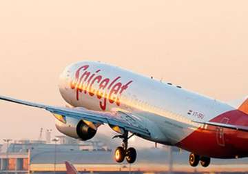 spicejet to run additional flights for stranded passengers
